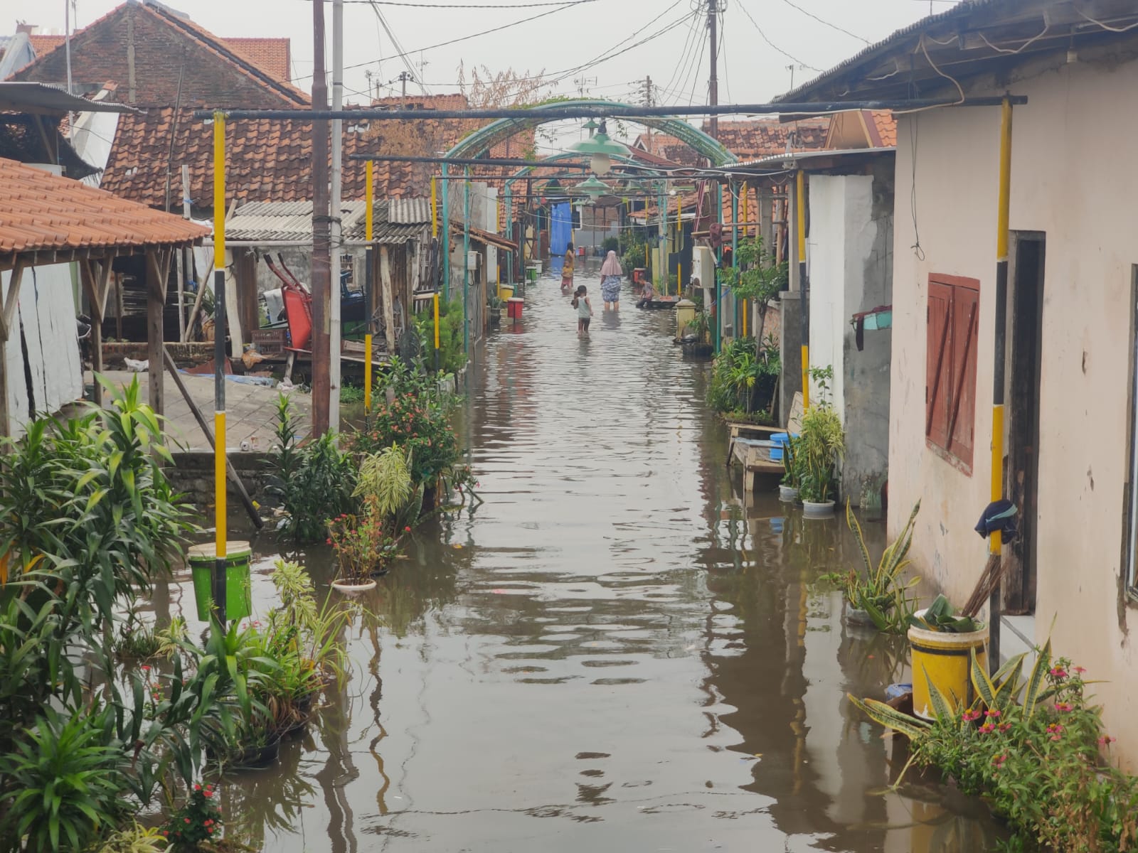 Tiga Jam Diguyur Hujan, Sebagian Wilayah Kota Pekalongan Banjir